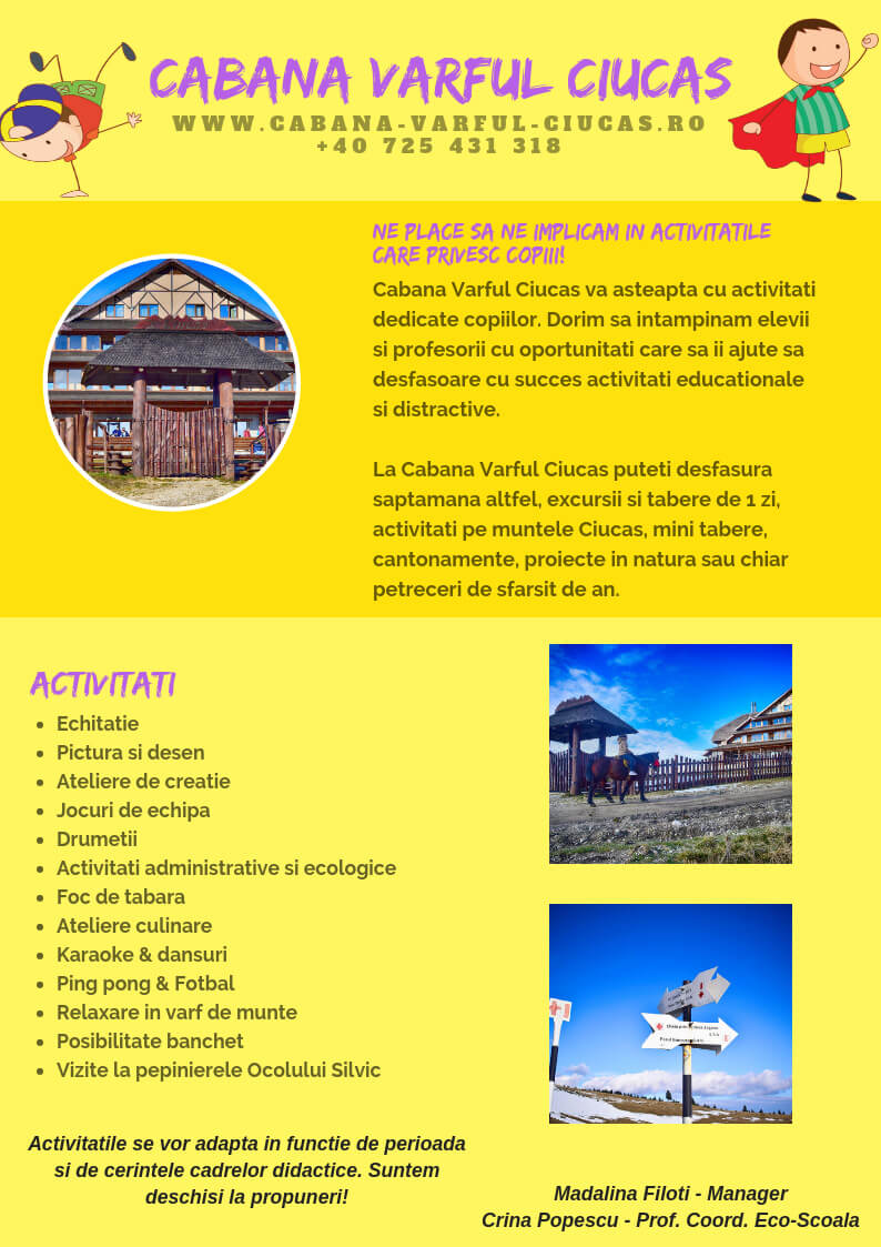 Activitati copii